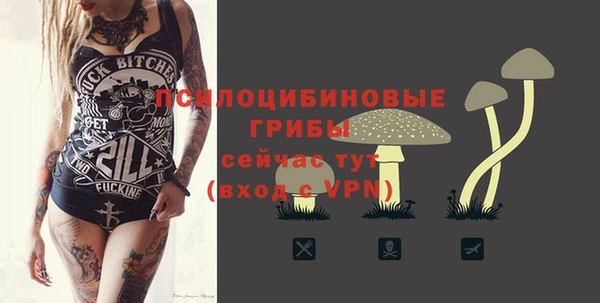 твердый Краснотурьинск