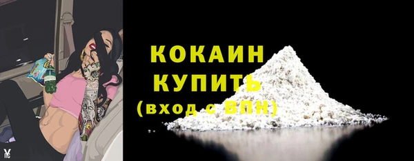 шишки Кукмор